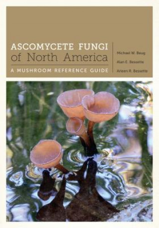 Książka Ascomycete Fungi of North America Michael Beug