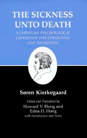 Knjiga Kierkegaard's Writings, XIX, Volume 19 Soren Kierkegaard