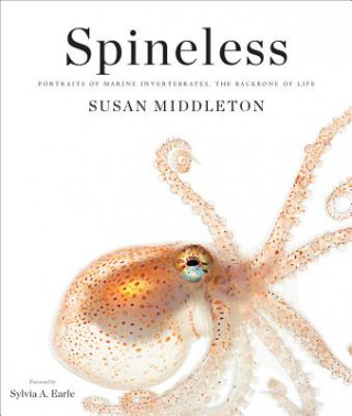 Książka Spineless Susan Middleton