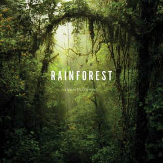 Könyv Rainforest Lewis Blackwell
