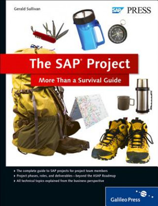 Kniha SAP Project Gerald Sullivan