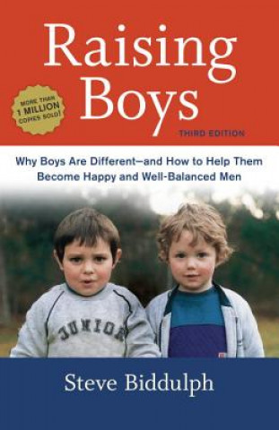 Kniha Raising Boys Steve Biddulph