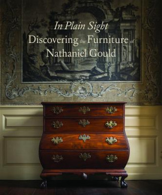 Buch In Plain Sight Kemble Widmar