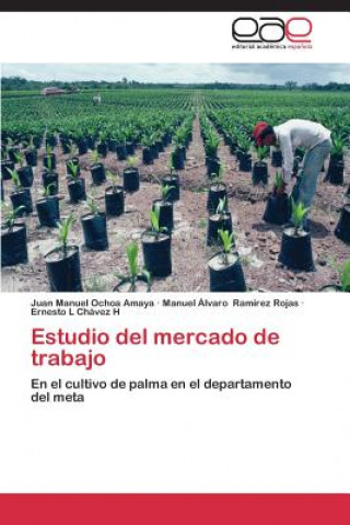 Book Estudio del Mercado de Trabajo Juan Manuel Ochoa Amaya