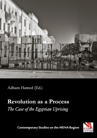 Книга Revolution as a Process Adham Hamed