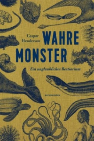 Könyv Wahre Monster Caspar Henderson