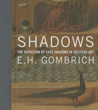 Kniha Shadows E H Gombrich