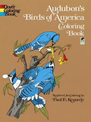 Książka Audubon's Birds of America Coloring Book John-James Audubon