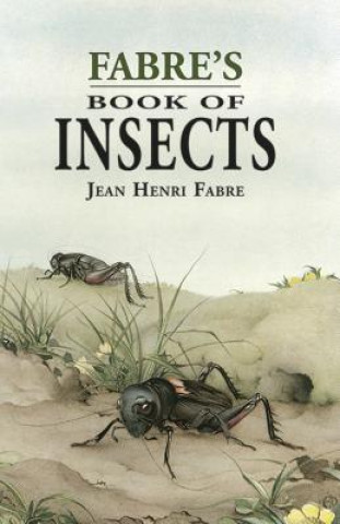 Könyv Fabre's Book of Insects Jean Henri Fabre