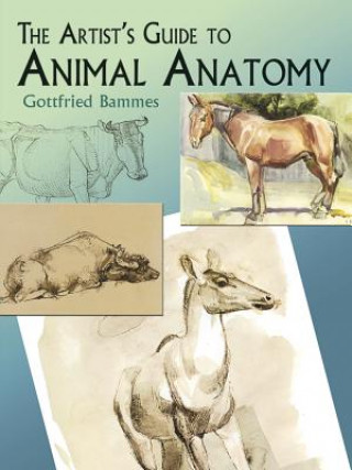 Book Artist's Guide to Animal Anatomy Gottfried Bammes