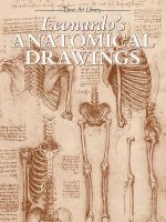 Könyv Leonardo's Anatomical Drawings Leonardo Da Vinci