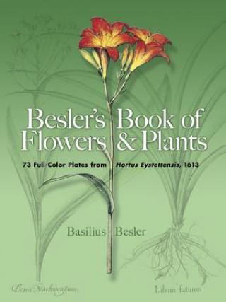Kniha Besler's Book of Flowers and Plants Basilius Besler
