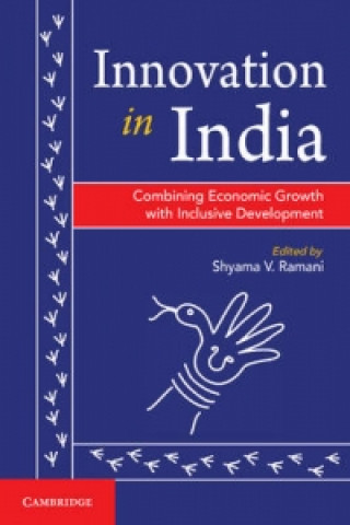 Könyv Innovation in India Shyama V Ramani