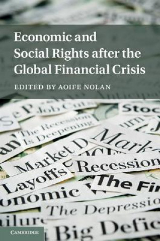 Kniha Economic and Social Rights after the Global Financial Crisis Aoife Nolan