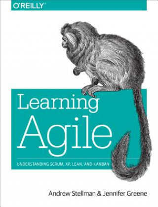 Kniha Learning Agile Andrew Stellman