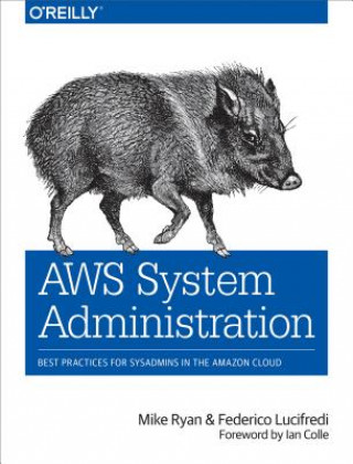 Kniha AWS System Administration Mike Ryan