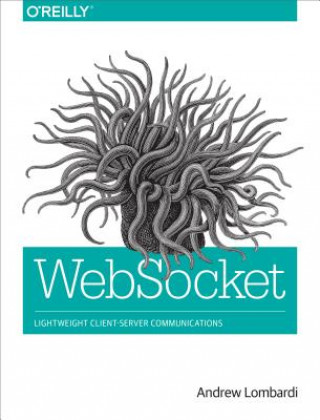 Kniha WebSocket Andrew Lombardi