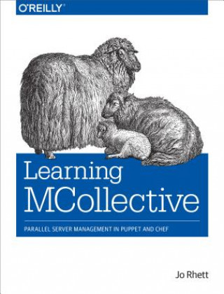 Livre Learning Mcollective Jo Rhett