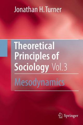 Book Theoretical Principles of Sociology, Volume 3 Jonathan H. Turner