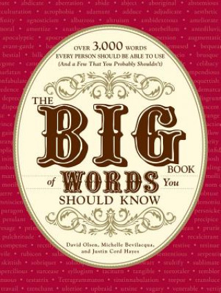 Carte Big Book of Words You Should Know Michelle Bevilacqua