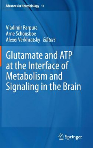 Könyv Glutamate and ATP at the Interface of Metabolism and Signaling in the Brain, 1 Vladimir Parpura