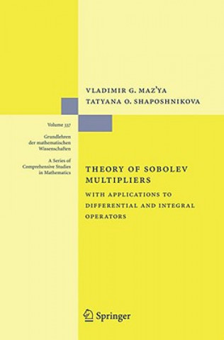 Könyv Theory of Sobolev Multipliers Vladimir G. Maz'ya