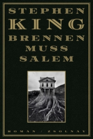 Книга Brennen muss Salem Stephen King