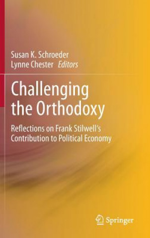 Kniha Challenging the Orthodoxy Susan Schroeder