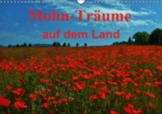 Calendrier/agenda Mohn-Träume auf dem Land (Wandkalender immerwährend DIN A3 quer) Lutz Klapp