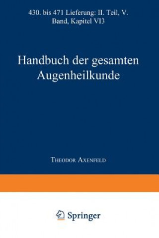 Kniha Handbuch Der Gesamten Augenheilkunde Alfred K. Graefe