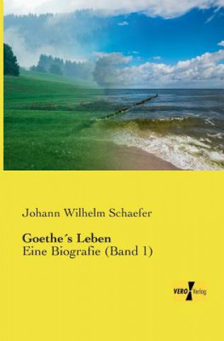 Książka Goethes Leben Johann Wilhelm Schaefer