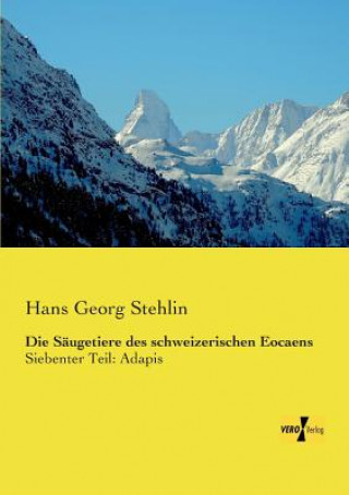 Buch Saugetiere des schweizerischen Eocaens Hans Georg Stehlin