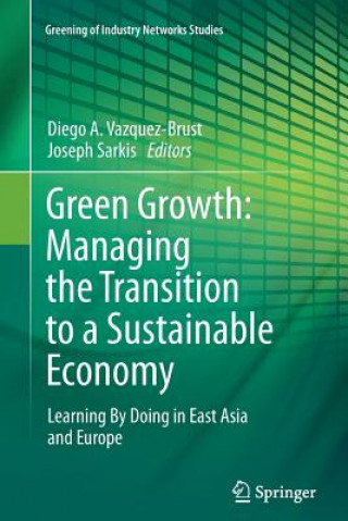 Kniha Green Growth: Managing the Transition to a Sustainable Economy Diego A. Vazquez-Brust