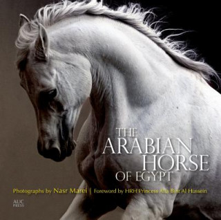 Книга Arabian Horse of Egypt Nasr Marei