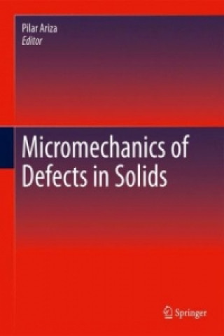 Książka Micromechanics of Defects in Solids Pilar Ariza