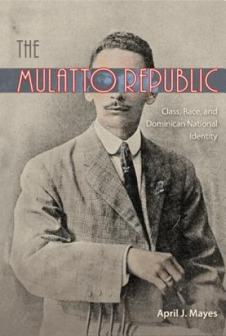 Kniha Mulatto Republic April J. Mayes
