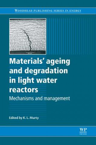 Kniha Materials Ageing and Degradation in Light Water Reactors K Linga Murty