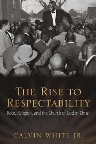 Book Rise to Respectability Calvin White