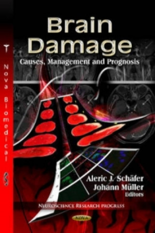 Kniha Brain Damage Aleric J. Schafer