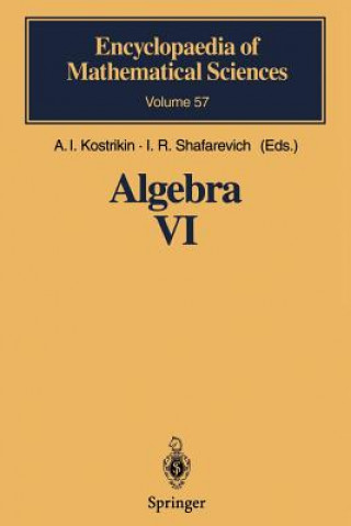 Knjiga Algebra VI A. I. Kostrikin
