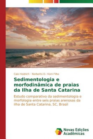 Knjiga Sedimentologia e morfodinamica de praias da Ilha de Santa Catarina Caio Heidrich