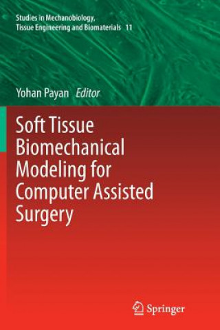 Könyv Soft Tissue Biomechanical Modeling for Computer Assisted Surgery Yohan Payan