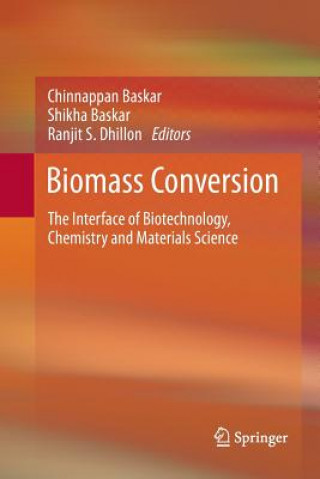 Kniha Biomass Conversion Chinnappan Baskar