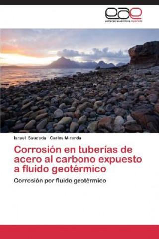 Knjiga Corrosion en tuberias de acero al carbono expuesto a fluido geotermico Israel Sauceda