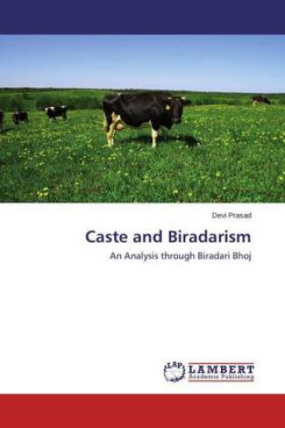 Książka Caste and Biradarism Devi Prasad