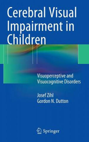 Carte Cerebral Visual Impairment in Children Josef Zihl