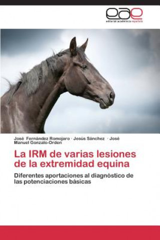 Knjiga Irm de Varias Lesiones de La Extremidad Equina Fernandez Romojaro Jose