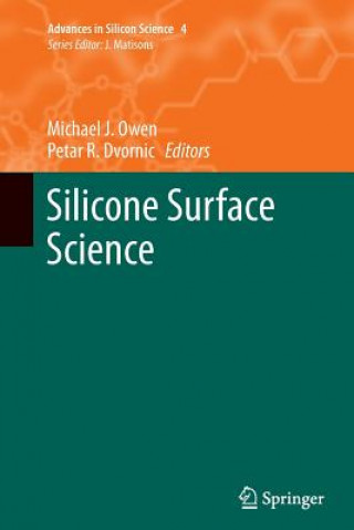 Kniha Silicone Surface Science Michael J. Owen