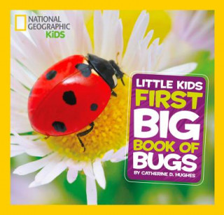 Kniha Little Kids First Big Book of Bugs Catherine D Hughes