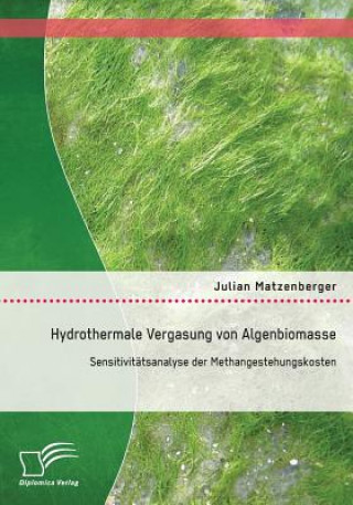 Libro Hydrothermale Vergasung von Algenbiomasse Julian Matzenberger